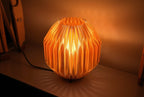 Origami Lamp